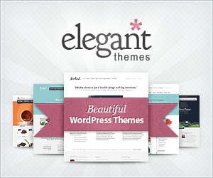 Elegant Themes Services 